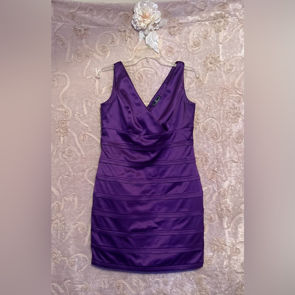 Size 12 American Lving purple dress